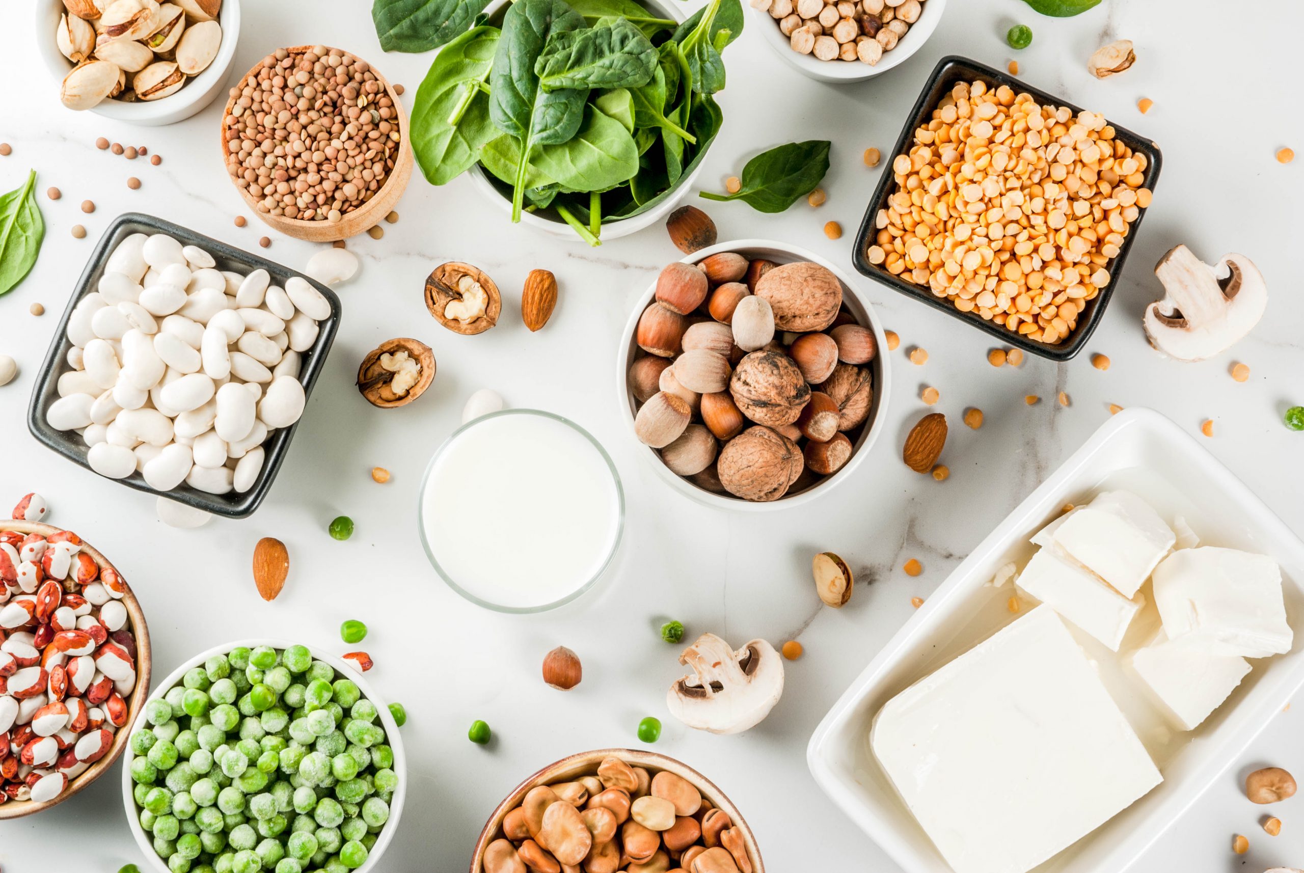 aliments riches en proteine