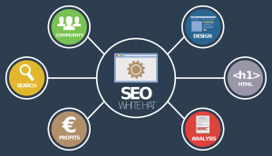 Strategie SEO pour votre marketing digital